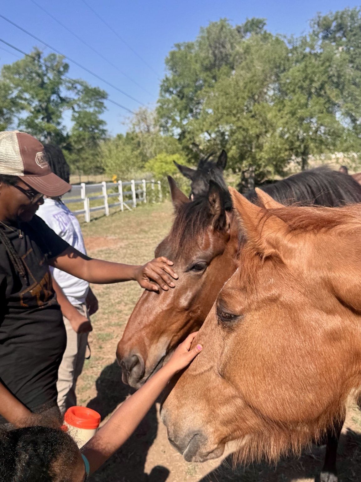 Visitors gently connecting with two horses at the ranch
