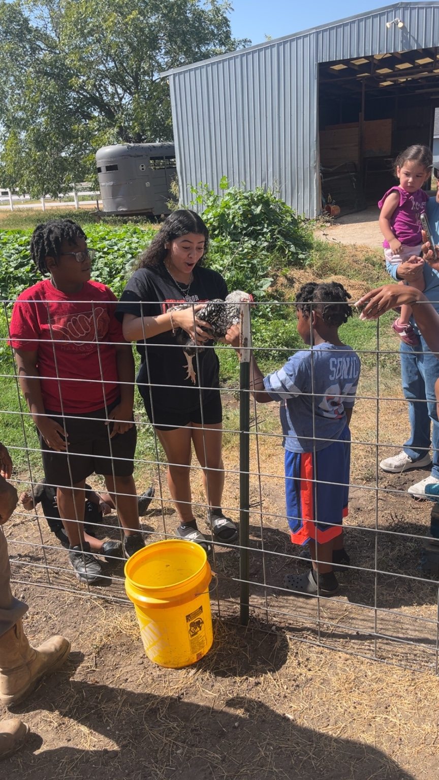 Children and caregivers gathering to meet the animals at the ranch