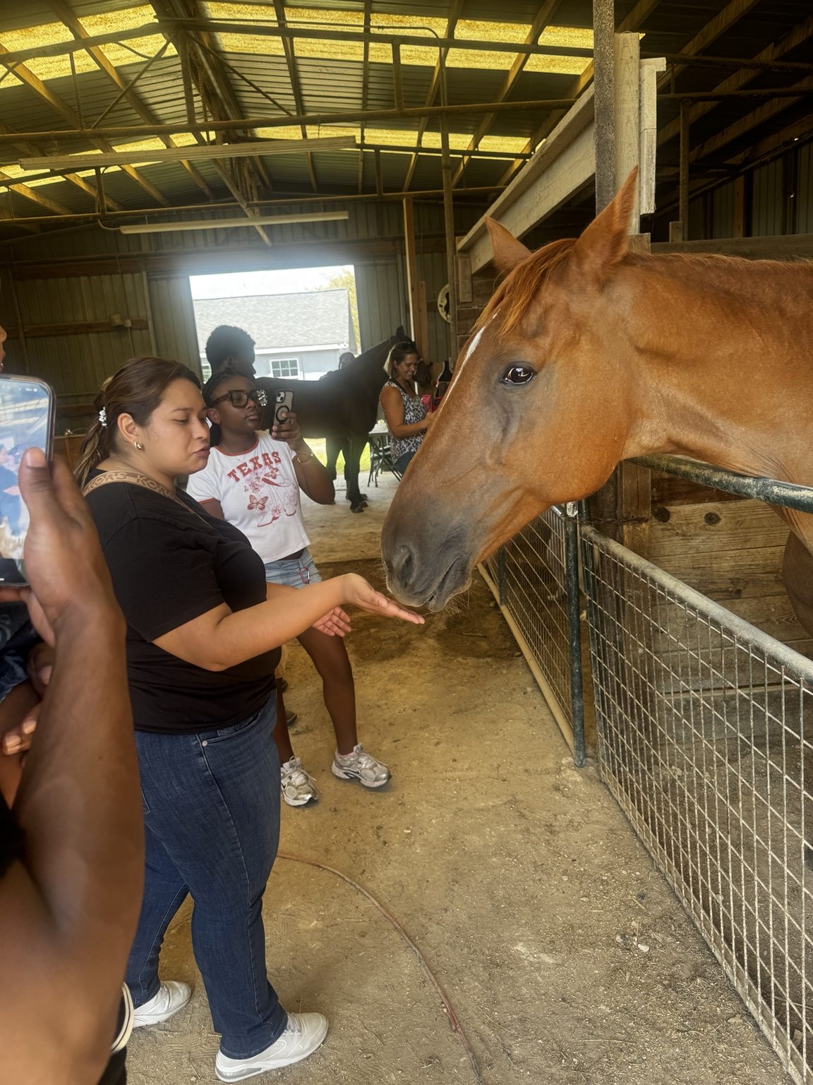 A visitor gently feeding a horse in the barn